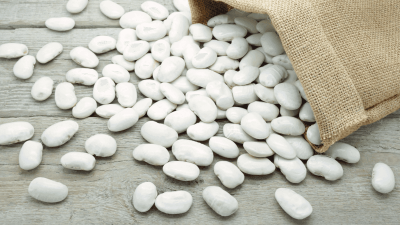 Spill The Beans Header Image 1920x1080