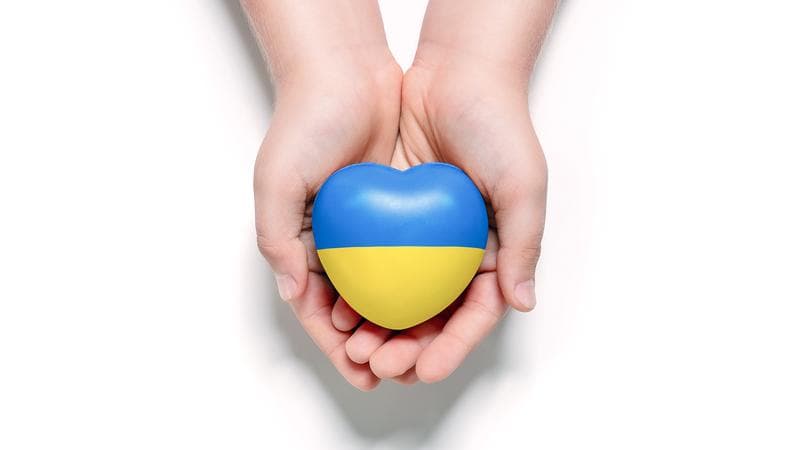 High angle view of child hands holding ukraine flag painted heart isolated on white background